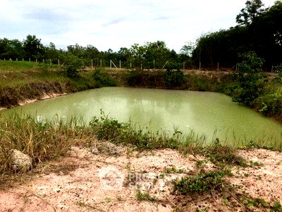 ที่ดิน เชียงใหม่ : ที่ดินสำหรับปล่อยขาย 8,180 ตารางเมตร แถว ใน ดอยหล่อ (ID 2618164)