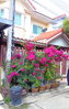 listing thumbnail image 15