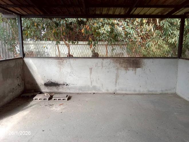 รูป อาคารโรงงาน 487.6 ตร.วา บ้านแท่น ชัยภูมิ 9.9M - รูปที่ 11/40