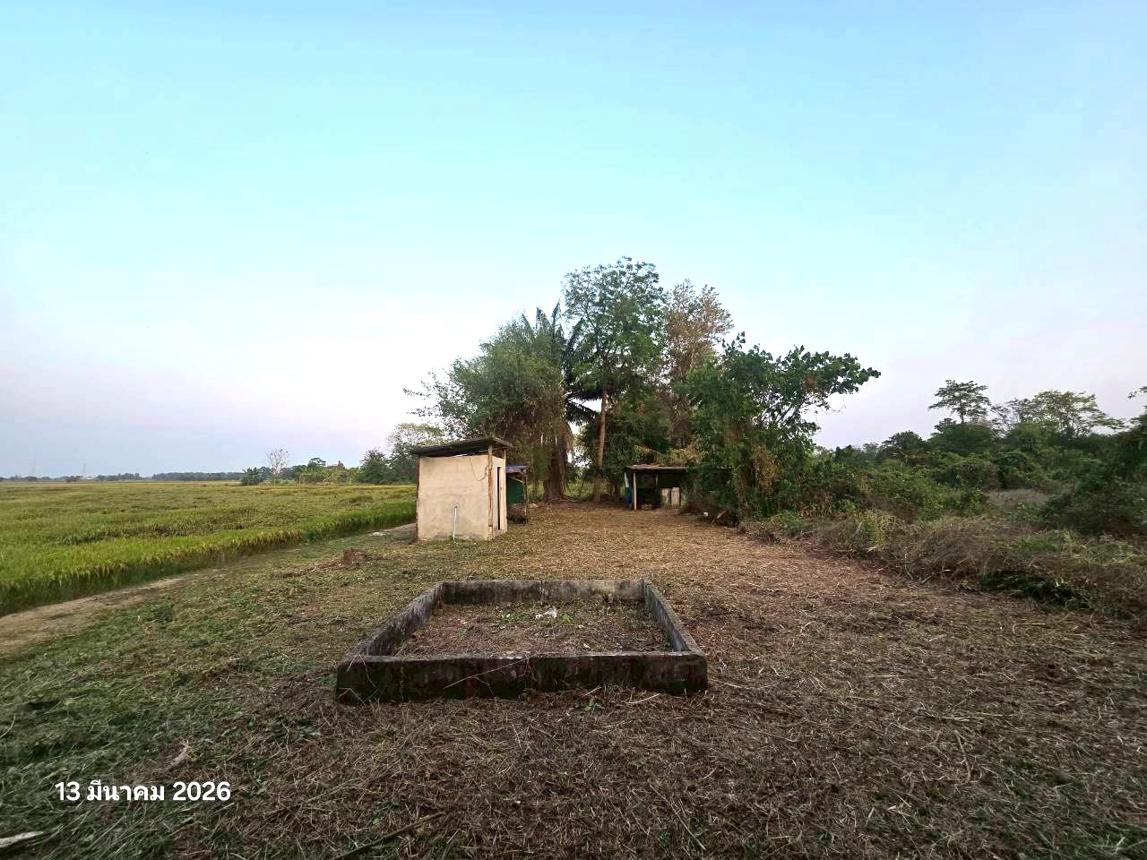 รูป เพิงอเนกประสงค์ 216 ตร.วา เมืองนครสวรรค์ นครสวรรค์ 1.2M - รูปที่ 22/32