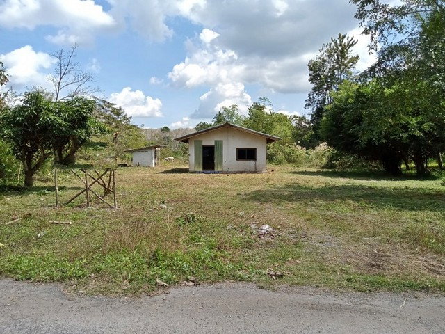 รูป F2-0636 ขายบ้านเดี่ยว ต. นาไม้ไผ่ อ.ทุ่งสง จ.นครศรีธรรมราช - รูปที่ 5/8