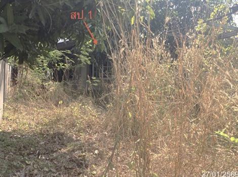รูป บ้านเดี่ยว 100 ตร.วา ดอนเจดีย์ สุพรรณบุรี 926,000 - รูปที่ 15/18