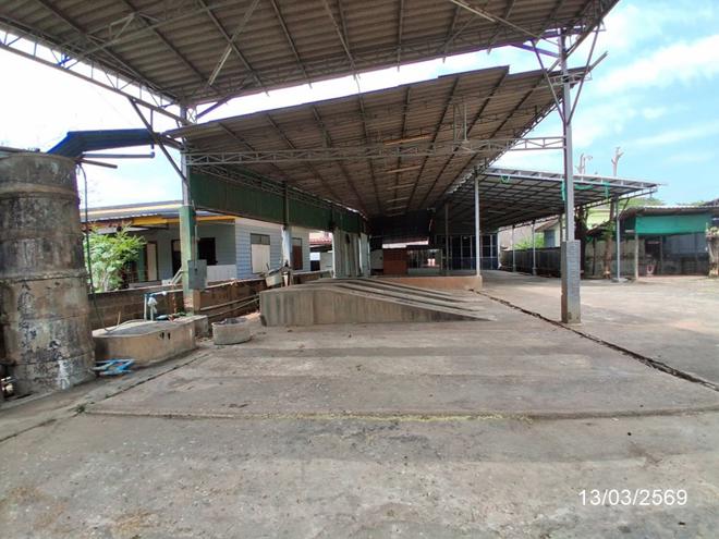 รูป บ้านเดี่ยว 303 ตร.วา พนมไพร ร้อยเอ็ด 4M - รูปที่ 16/42