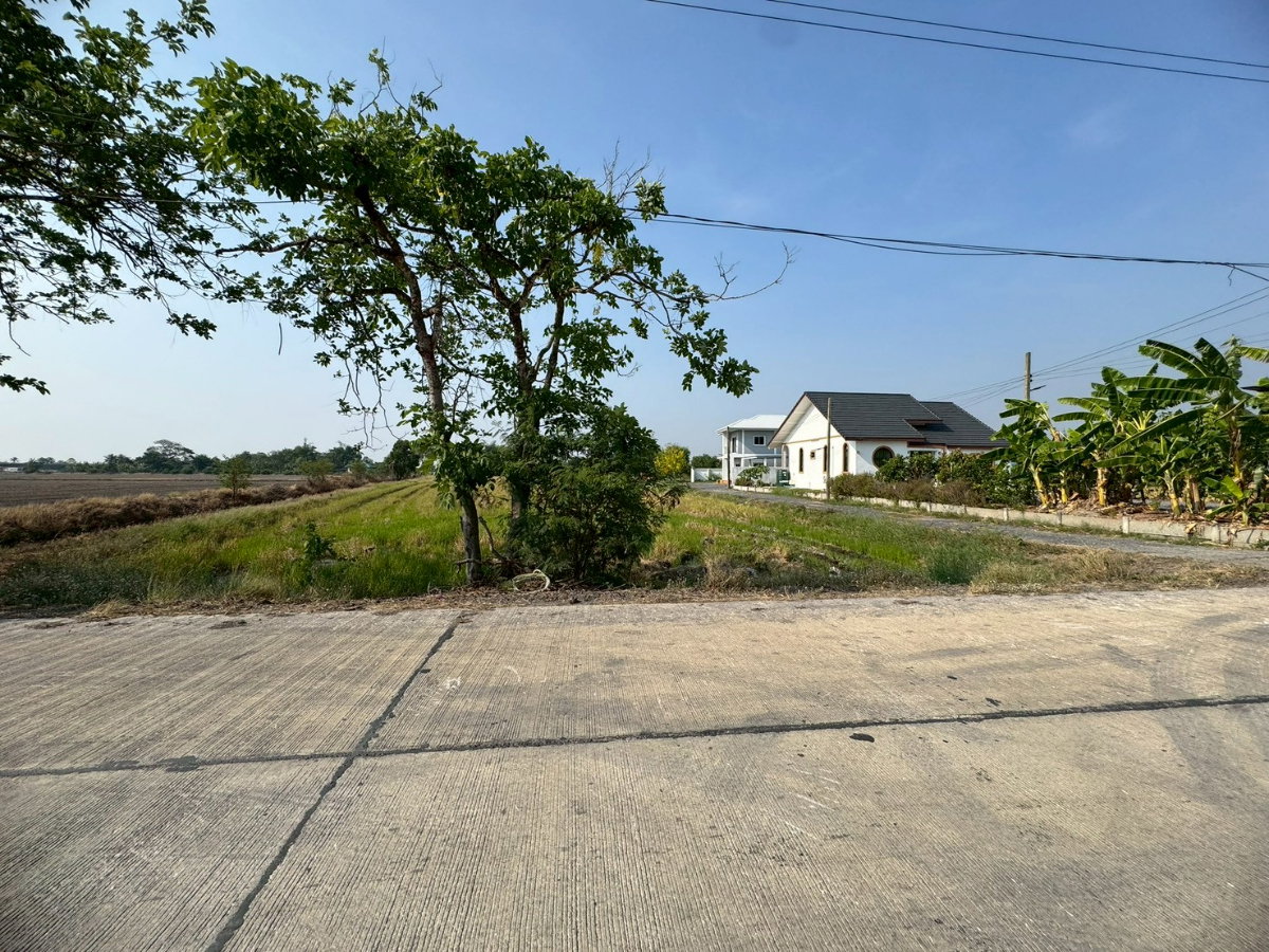 รูป ขายที่ดินสวย ซอยอยู่วิทยา หนองจอก วิวโล่ง ราคาดี **ต่ำกว่าตลาด** (N.2073) - รูปที่ 5/7