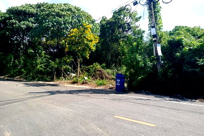 Land for sale Yan Ta Khao Trang : FOR SALE  LAND PROPERTY  2050000 BAHT.