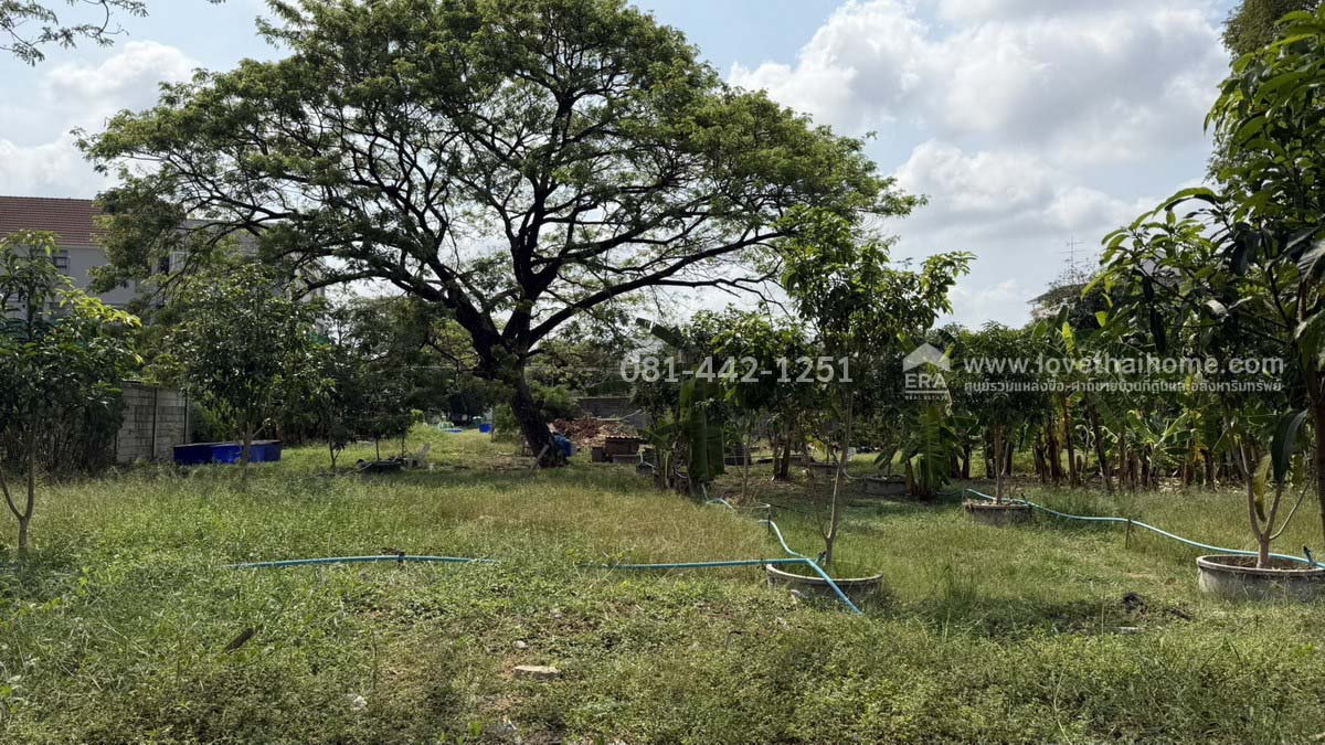 รูป ขายที่ดินถนนพัฒนาการ56 หมู่บ้านเอื้อสุขแมนชื่นพาร์ค พื้นที่ 987 ตรว. ราคาถูกจริงๆ ขายเพียง 120,000 บาท/ตรว.ใกล้ bts สถานีพัฒนาการและแอร์พอร์ตลิ้งค์ - รูปที่ 2/16