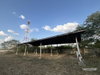 listing thumbnail image 42
