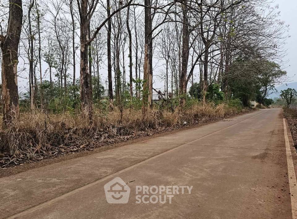 รูป ที่ดินสำหรับปล่อยขาย 22,840 ตารางเมตร แถว ใน ป่าตาล (ID 2620357) - รูปที่ 2/8