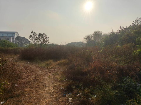 ขายที่ดินแปลงศักยภาพสูง – กรุงเทพกรีฑา 20 เขตสะพานสูง