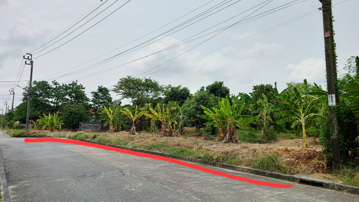 รูป ขายบ้านพร้อมที่ดิน 429 ตร.วา แปลงใหญ่หายาก เหมาะลงทุน/ปลูกสร้าง ทำเลถนนเจ้าคุณทหาร  - รูปที่ 7/14
