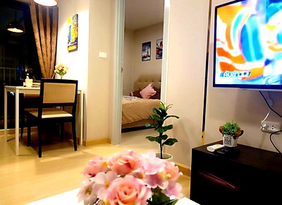 คอนโดให้เช่า : The tree onnut station ☎️1 bed 29 sqm ‼️14500/month ‼️NOW AVAILABLE 🔆✅