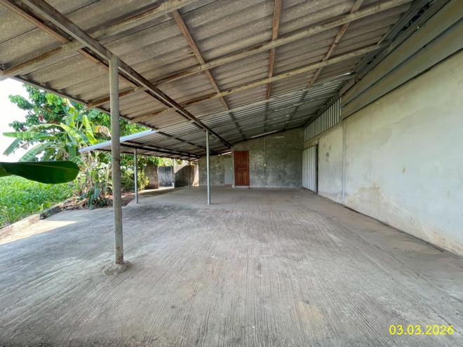 รูป โกดัง 447 ตร.วา ท่าวังผา น่าน 1.7M - รูปที่ 4/40