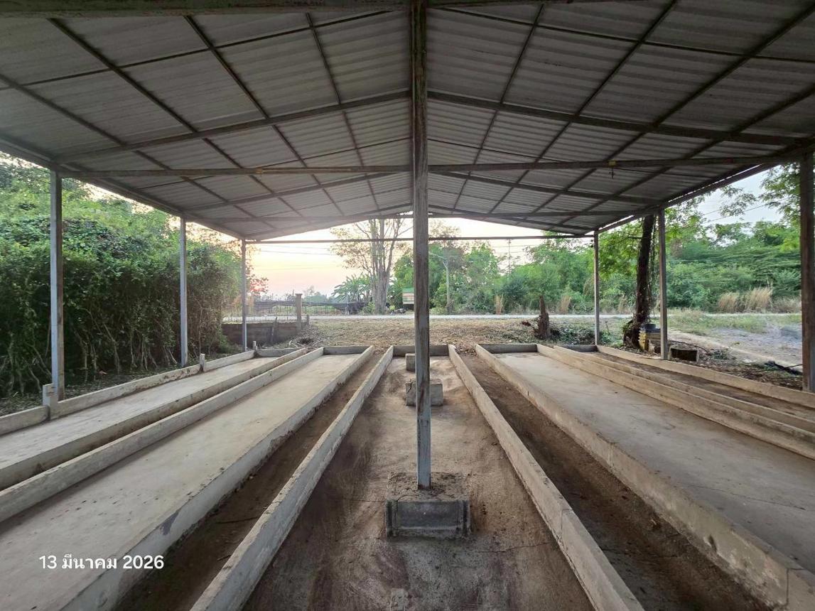 รูป เพิงอเนกประสงค์ 216 ตร.วา เมืองนครสวรรค์ นครสวรรค์ 1.2M - รูปที่ 16/32