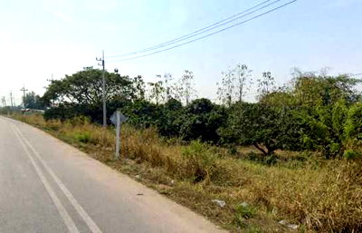 ที่ดิน ถนนเลี่ยงเมืองสันป่าตองหางดง : ขาย ที่ดินแปลงใหญ่ ทำเล สันป่าตอง-หางดง ติดถนนเลี่ยงเมือง