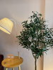 listing thumbnail image 7