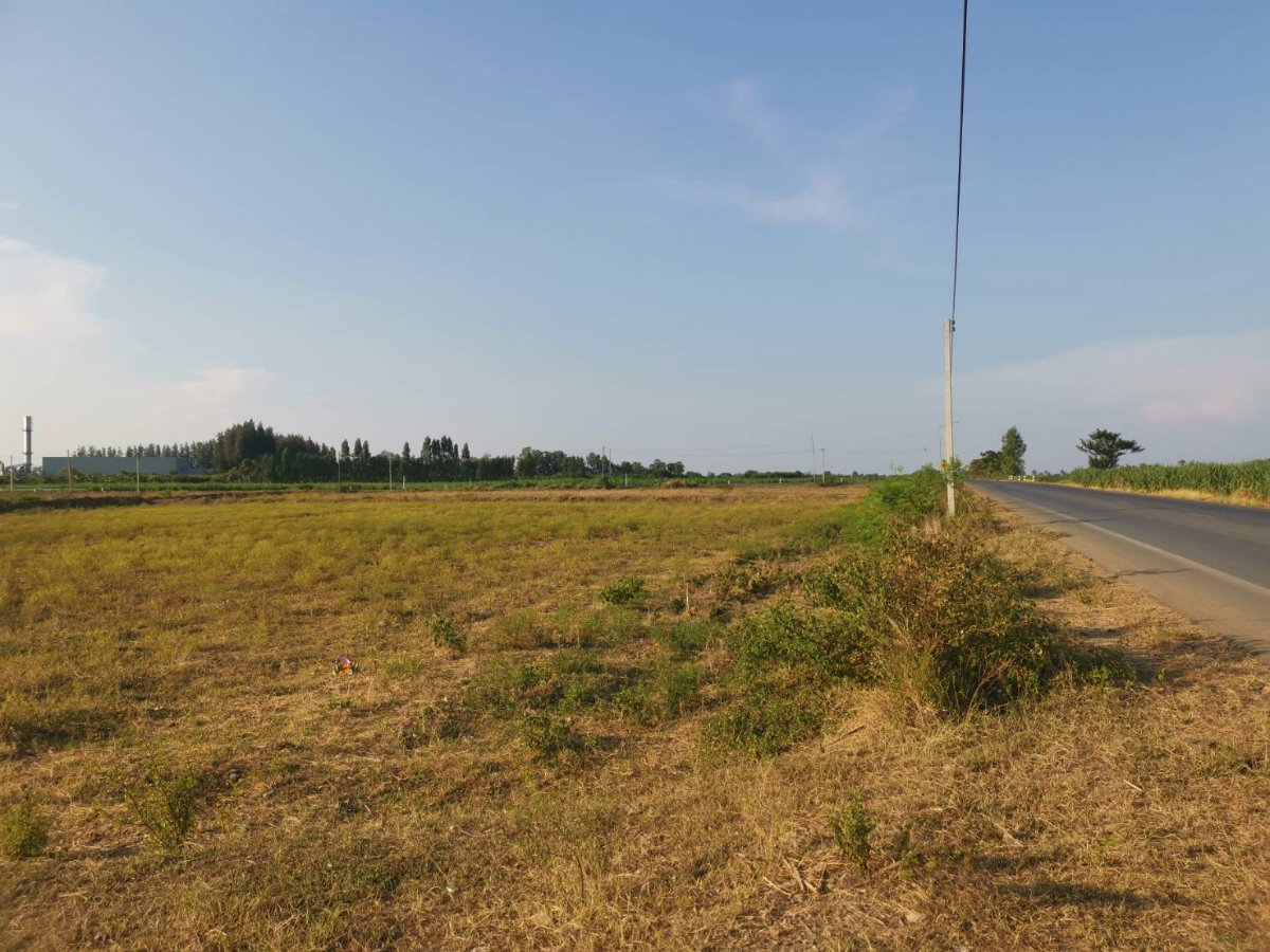รูป [โอกาสทองนักลงทุน] ขายด่วน! ที่ดินผืนใหญ่ 100 ไร่ ทำเลศักยภาพ กำแพงแสน-สุพรรณบุรี ราคาถูกกว่าตลาด! - รูปที่ 2/4