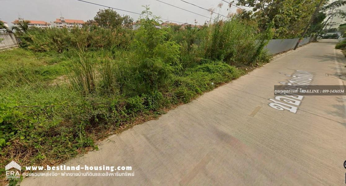 รูป ขายที่ดินซอยบริสุทธิ์พงศ์ ต.บางบัวทอง อ. บางบัวทอง จ.นนทบุรี ขาย 17,500/ตรว. - รูปที่ 5/10