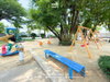 listing thumbnail image 41
