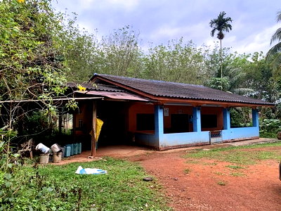 Houses for sale Yan Ta Khao Trang : FOR SALE  HOUSE PROPERTY  750000 BAHT.