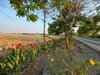 listing thumbnail image 4