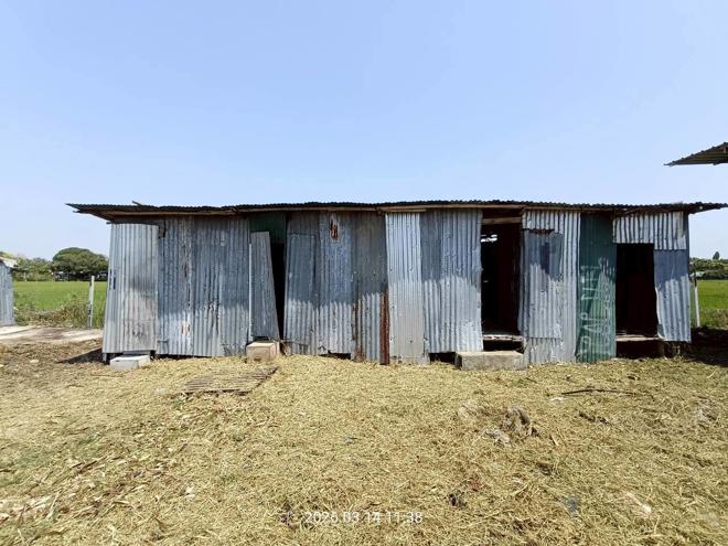 รูป โกดัง 983.7 ตร.วา เมืองสระบุรี สระบุรี 8.5M - รูปที่ 8/26
