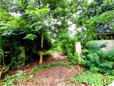 โรงงาน ชลบุรี : BP00496 ขายโรงงาน ตำบล หมอนนาง อำเภอ พนัสนิคม จังหวัด ชลบุรี