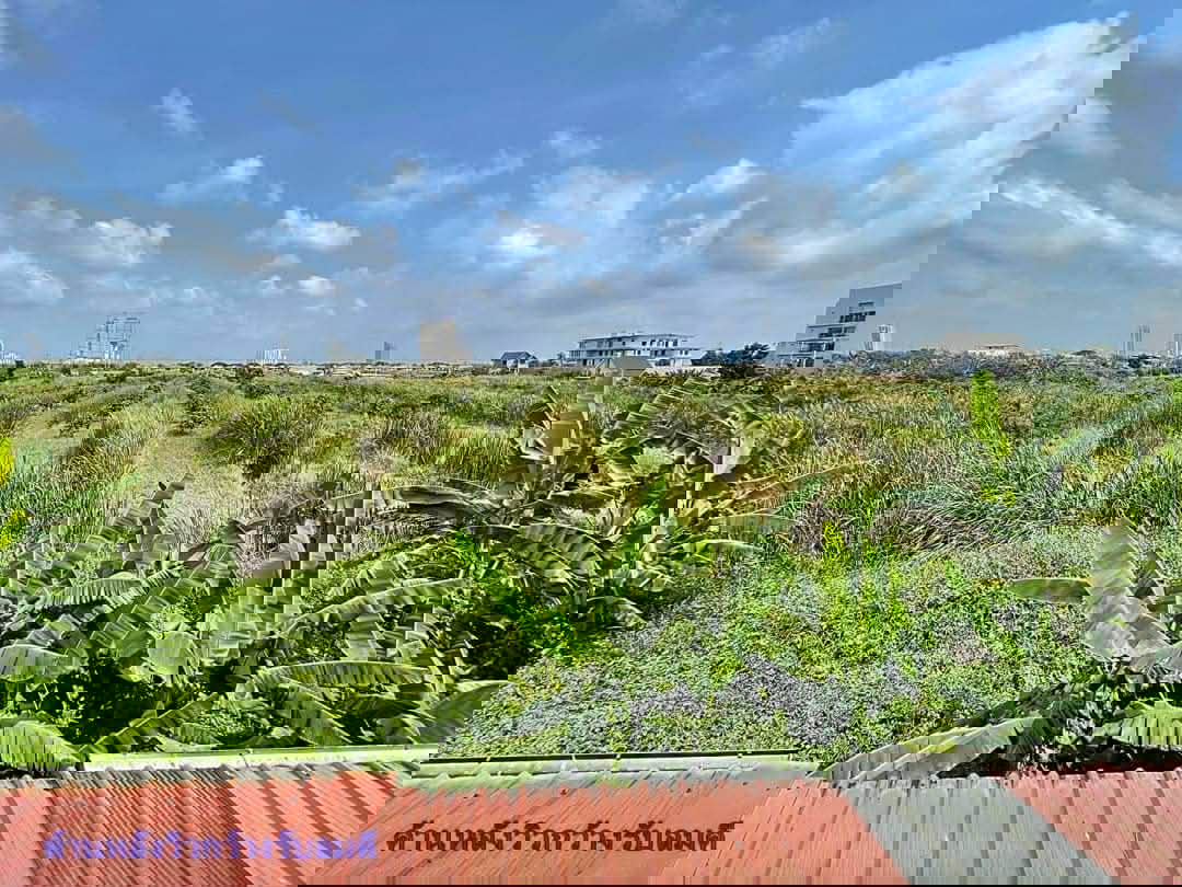 รูป ขายทาวน์เฮ้าส์ 2 ชั้น สุริยาเพอร์เฟค 2 หนามแดง-บางนา - รูปที่ 17/17