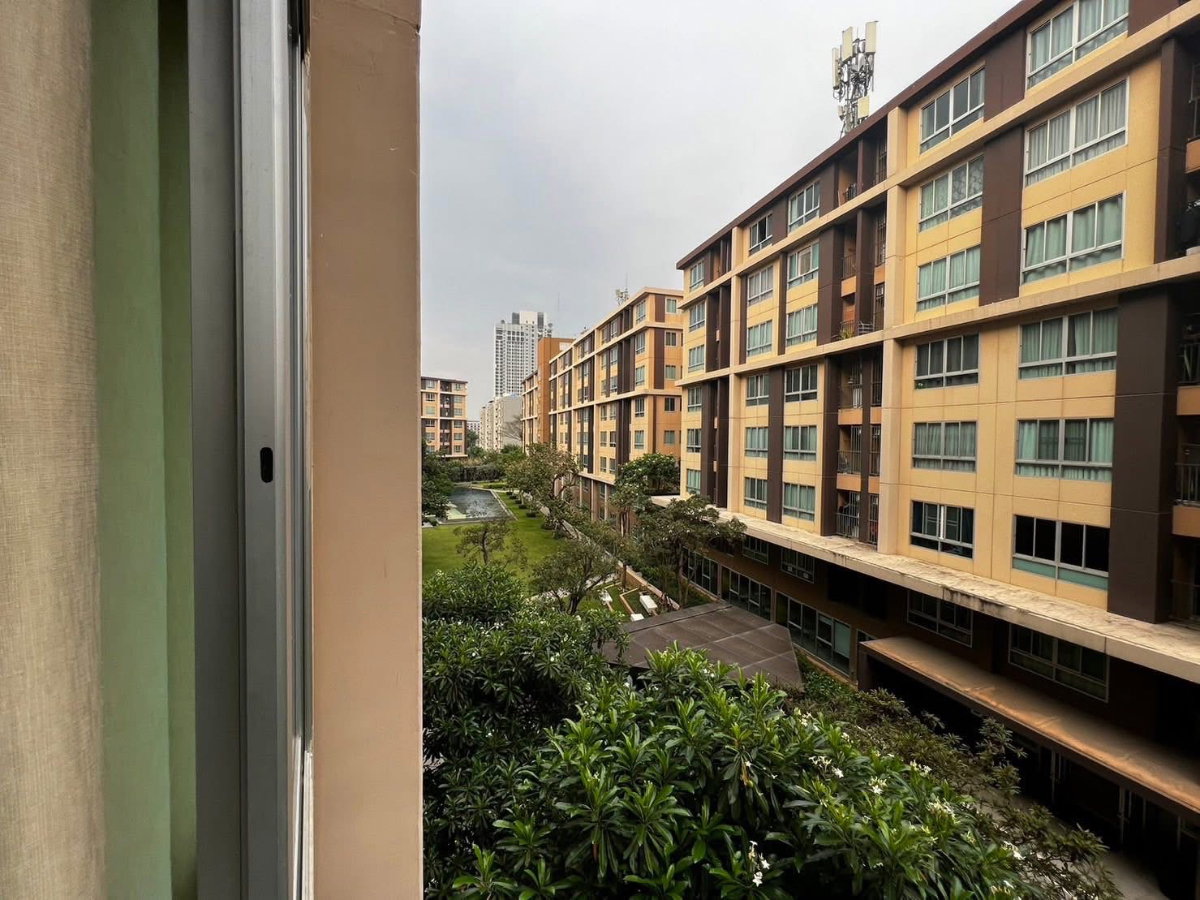 รูป  D- Condo Campus resort  เฟส 1  รังสิต - รูปที่ 11/12