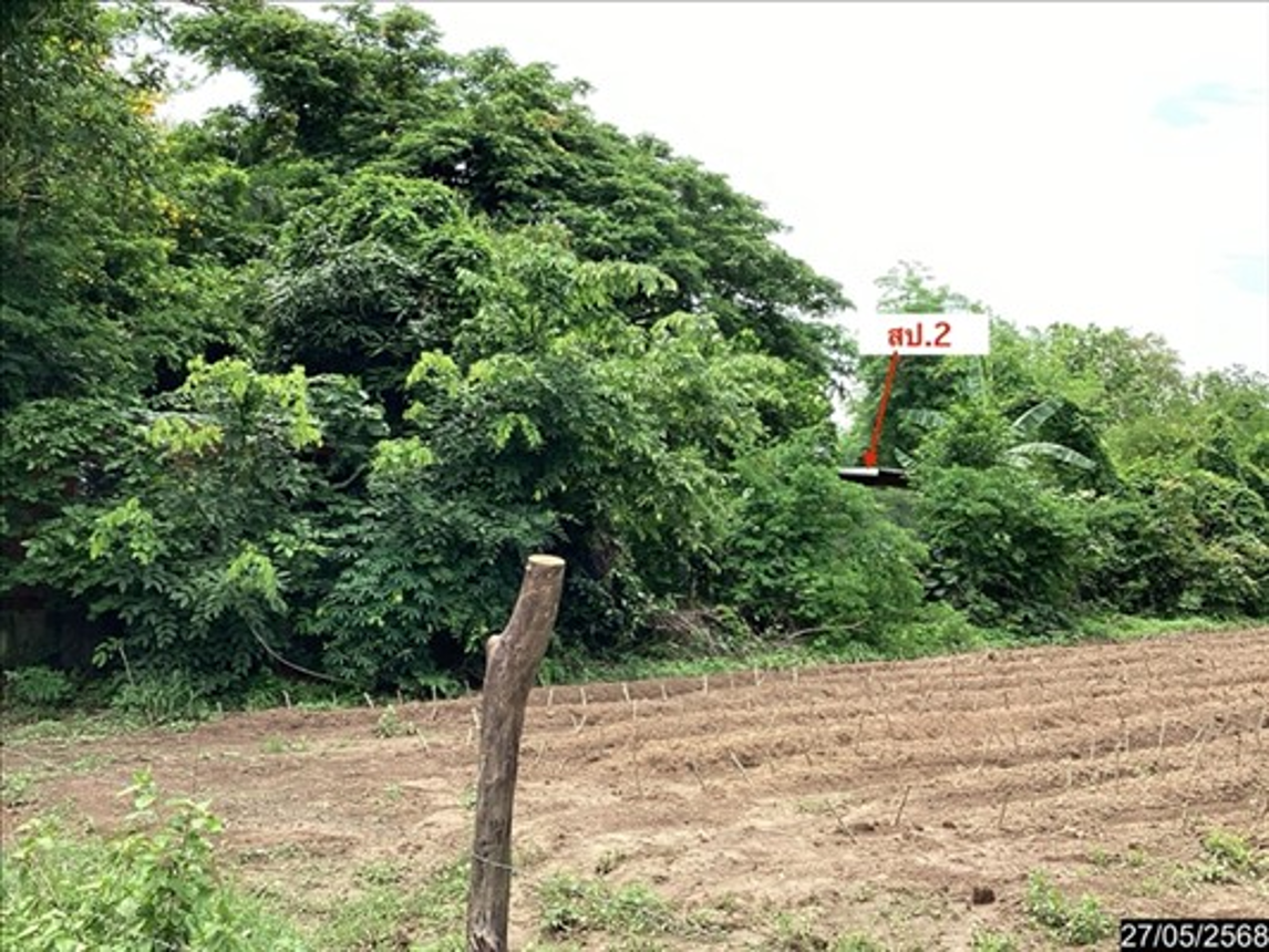 รูป บ้านเดี่ยว 2354 ตร.วา เมืองสกลนคร สกลนคร 2.8M - รูปที่ 8/12