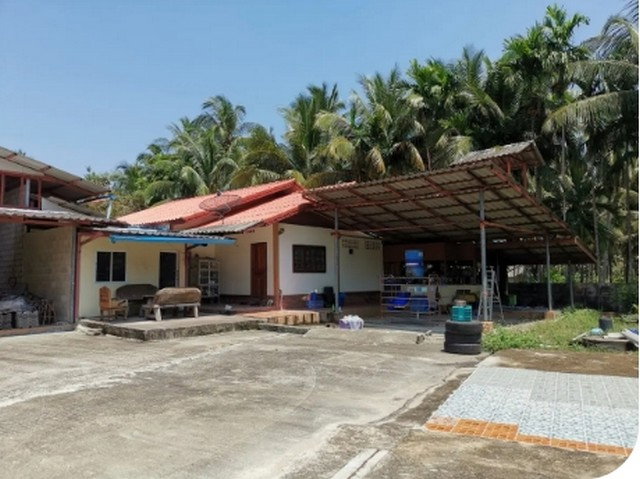 รูป BP00501 ขายโกดัง หมู่ที่ 7 ตำบล ธงชัย อำเภอ บางสะพาน จังหวัด ประจวบคีรีขันธ์ - รูปที่ 6/8