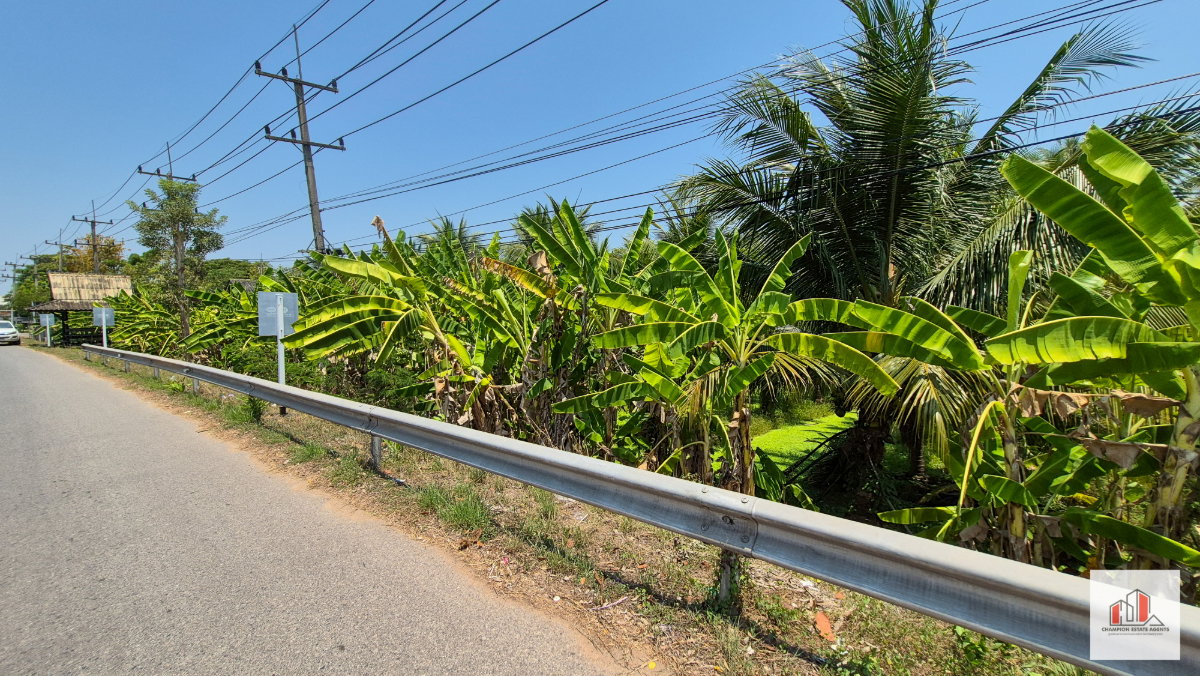 รูป ขายที่ดินติดถนนใหญ่ ขนาด 4 ไร่กว่า ใกล้วัดดอนมโนราห์ อ.บางคนที สมุทรสงคราม ทำเลดีมาก - รูปที่ 4/4