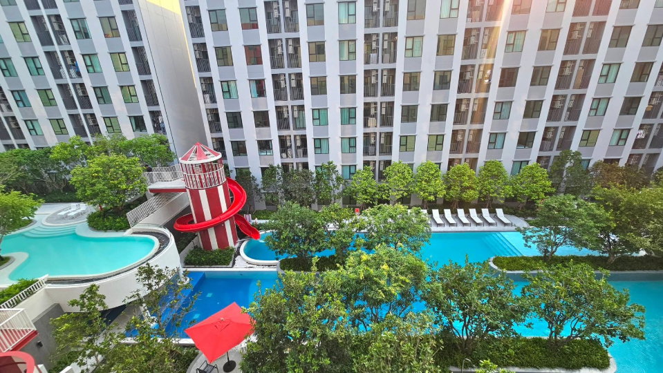 picture Kave                     Wonderland  - 10/17