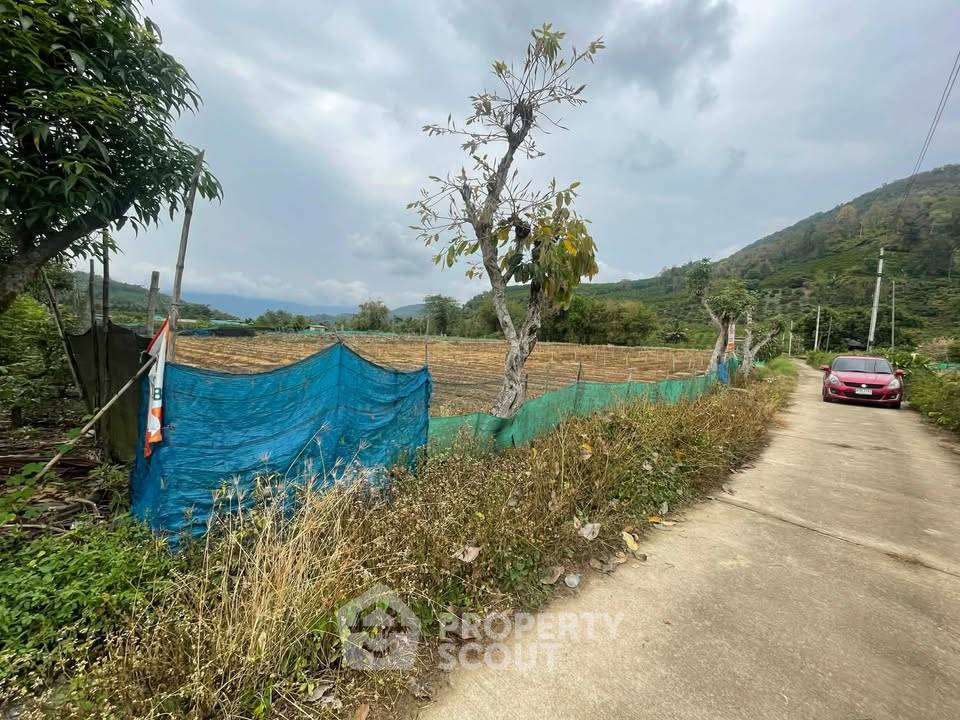 รูป ที่ดินสำหรับปล่อยขาย 9,600 ตารางเมตร แถว ใน ม่อนปิ่น (ID 2813456) - รูปที่ 3/9