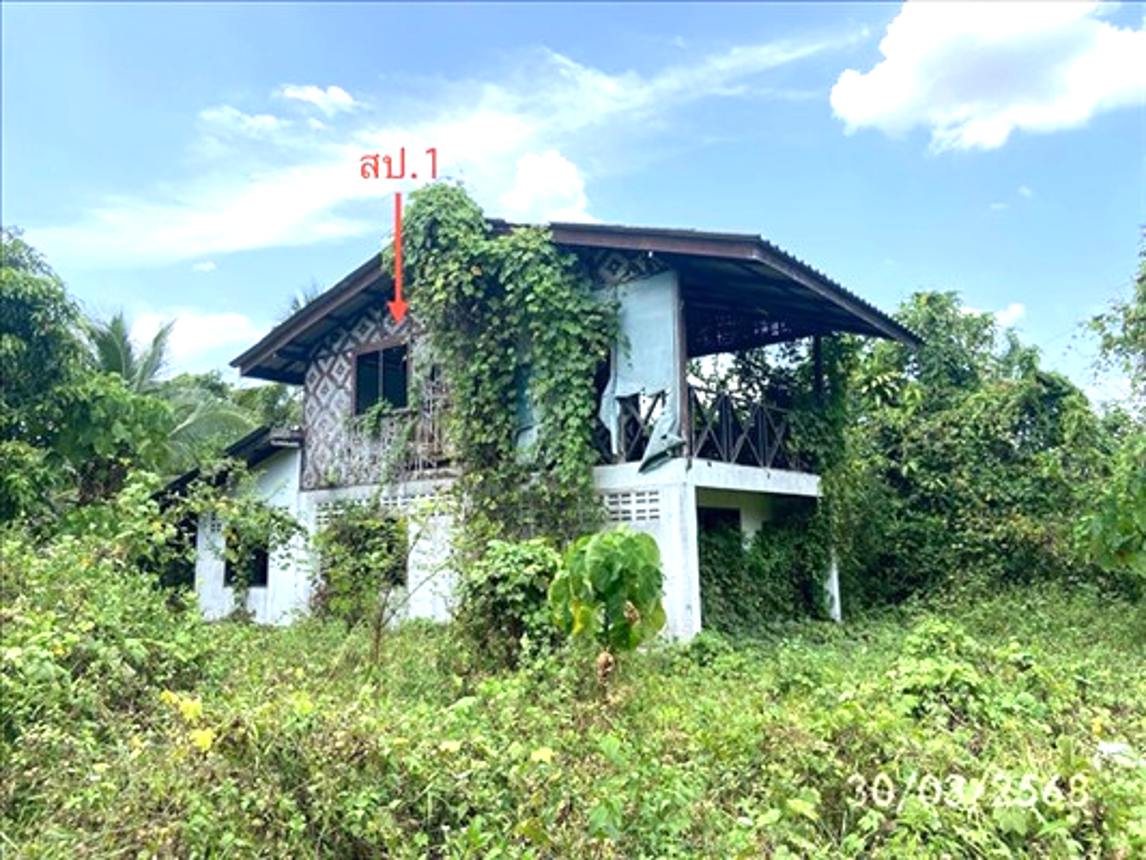 picture HOME 1374.9 Sq.w. Muang Satun Satun for 6.3M - 6/14