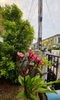 listing thumbnail image 6