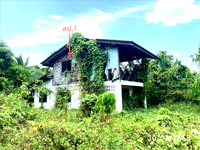 บ้านเดี่ยว 1374.9 ตร.วา เมืองสตูล สตูล 6.3M