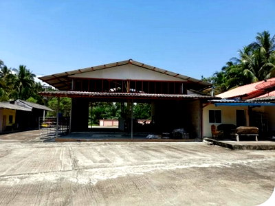 โรงงาน บางสะพาน ประจวบคีรีขันธ์ : BP00501 ขายโกดัง หมู่ที่ 7 ตำบล ธงชัย อำเภอ บางสะพาน จังหวัด ประจวบคีรีขันธ์