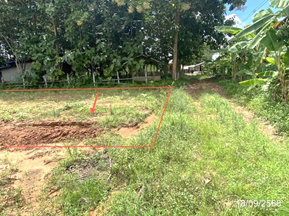 รูป ที่ดินว่างเปล่า 1400 ตร.วา สหัสขันธ์ กาฬสินธุ์ 1.8M - รูปที่ 12/16