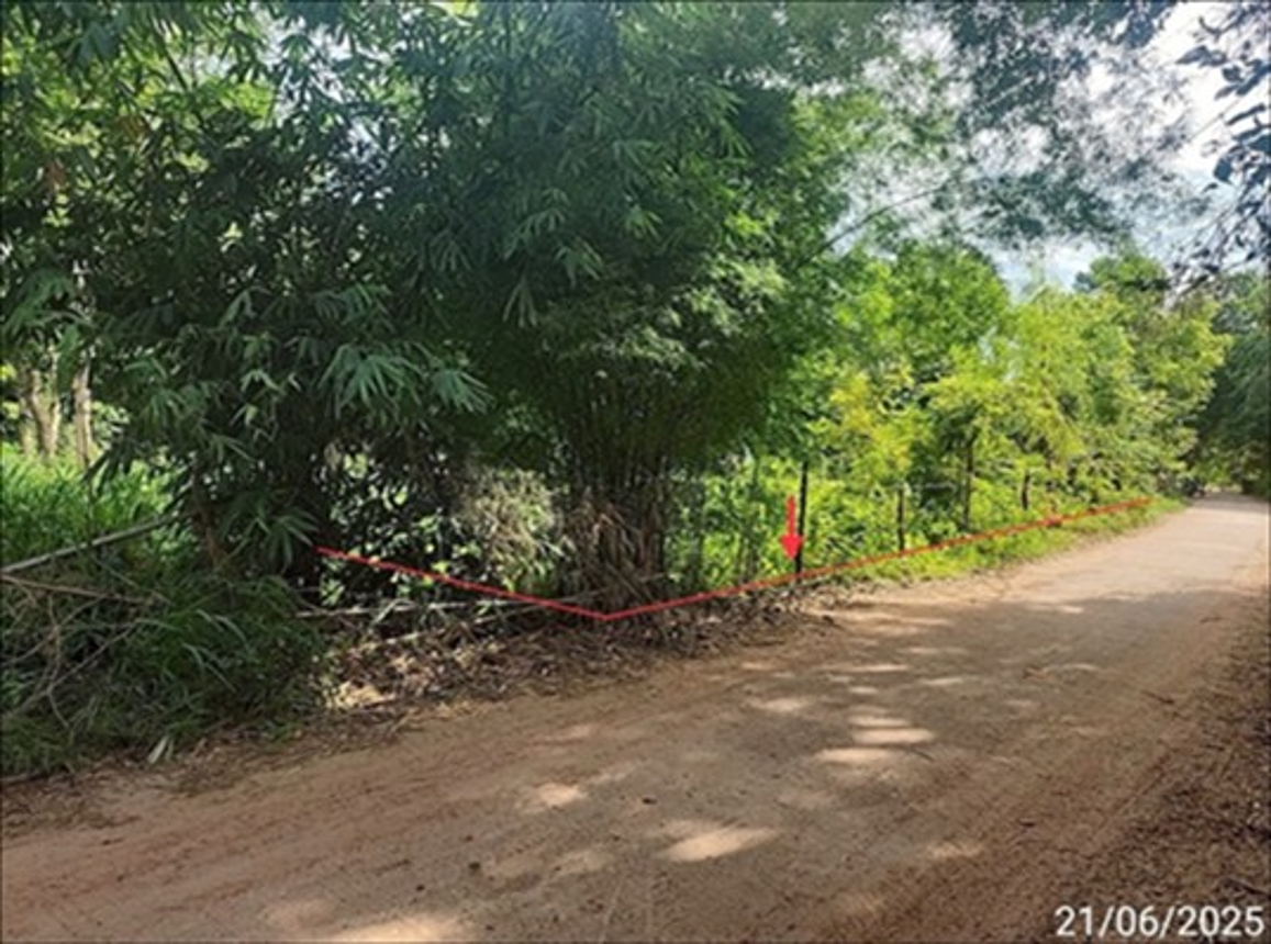 รูป ที่ดินว่างเปล่า 277.4 ตร.วา เมืองสรวง ร้อยเอ็ด 555,000 - รูปที่ 8/12