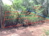 listing thumbnail image 10
