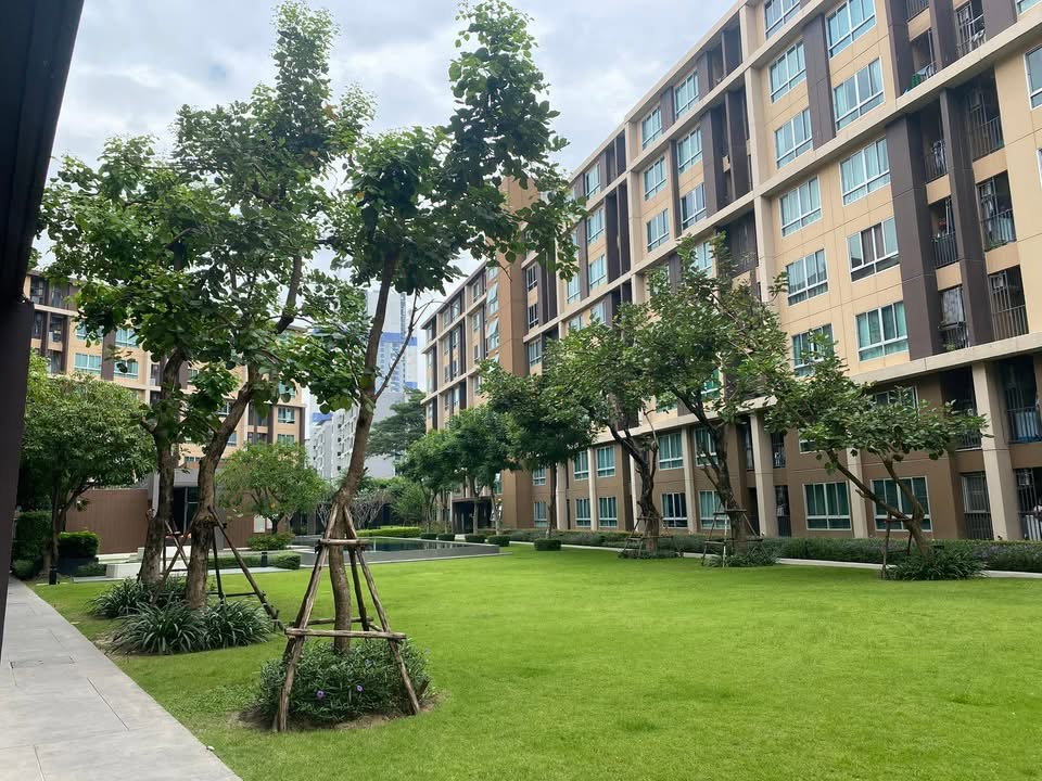 รูป  D- Condo Campus resort  เฟส 1  รังสิต - รูปที่ 12/12