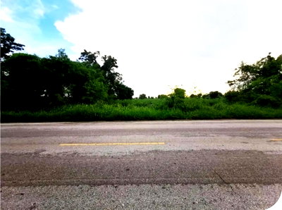 Land for sale Chaiyaphum : FOR SALE  LAND PROPERTY  866000 BAHT.