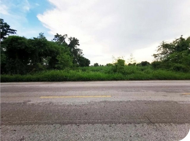 รูป BP00182 ขายที่ดินเปล่า ตำบล บ้านกอก อำเภอ จัตุรัส จังหวัด ชัยภูมิ - รูปที่ 1/8