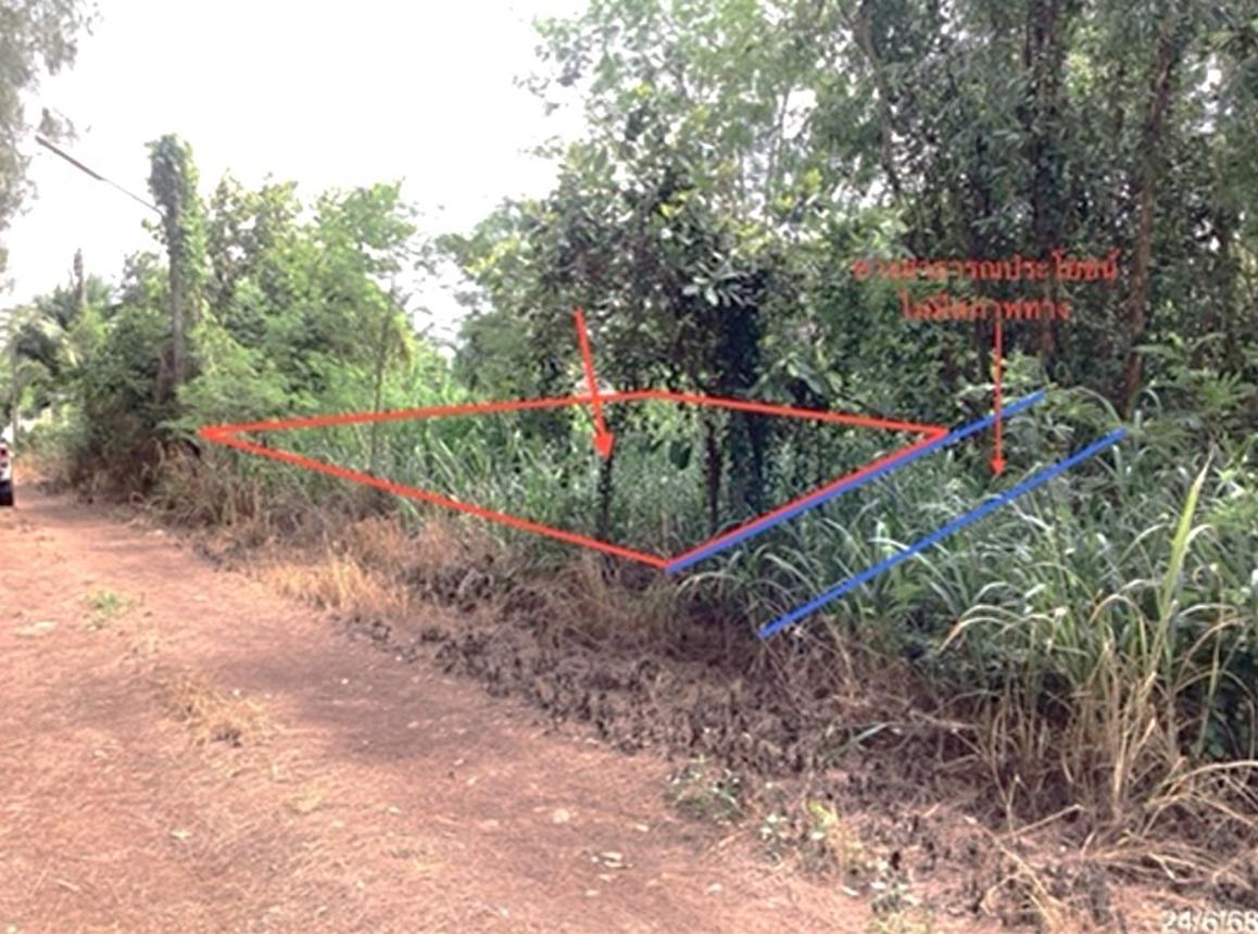 รูป ที่ดินว่างเปล่า 60 ตร.วา วรารมย์ หัวหิน หัวหิน ประจวบคีรีขันธ์ 360,000 - รูปที่ 8/14