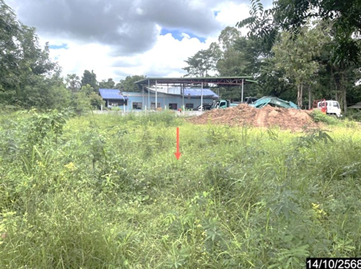 รูป ที่ดินว่างเปล่า 317 ตร.วา ภูเขียว ชัยภูมิ 999,000 - รูปที่ 12/16