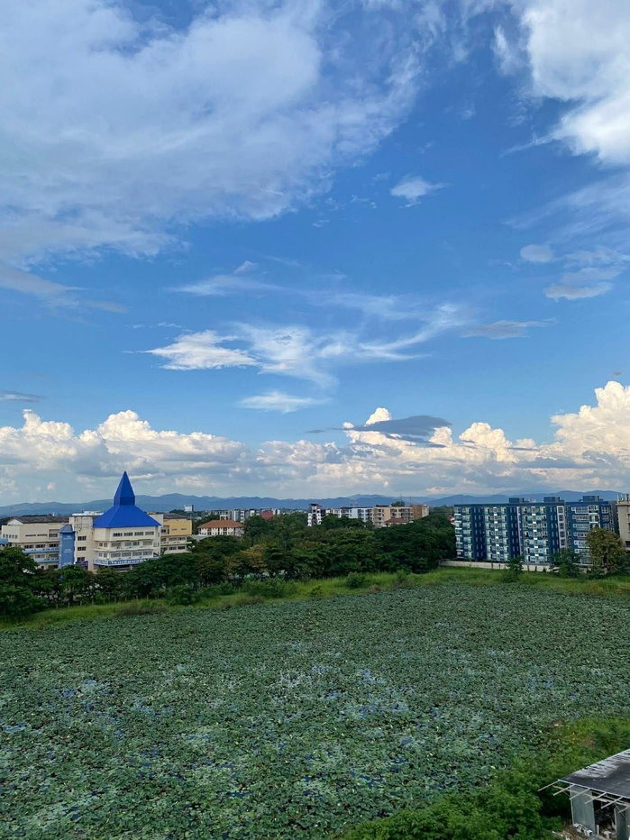 รูป ขาย คอนโด เดอะ เทรเชอร์ บาย มาย ฮิป ขายต่ำกว่าราคาประเมิน ! โทร 082-389-9314 บู - รูปที่ 13/22
