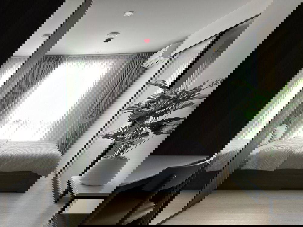 รูป ให้เช่าคอนโด นิว ครอส คูคต สเตชัน ตึก C 23 ตร.ม.เฟอร์ครบ มีเครื่องซักผ้า ติดรถไฟฟ้าคูคต (TR1297) - รูปที่ 1/9