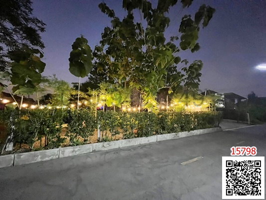 รูป เช่า บ้านชั้นเดียว แนวคาเฟ่ ซอยร่วมสุข5/14 ถ.ติวานนท์ จ.ปทุมธานี - รูปที่ 12/12