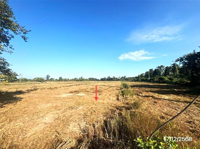 รูป ที่ดินว่างเปล่า 12171 ตร.วา เมืองสุโขทัย สุโขทัย 9.1M - รูปที่ 8/24