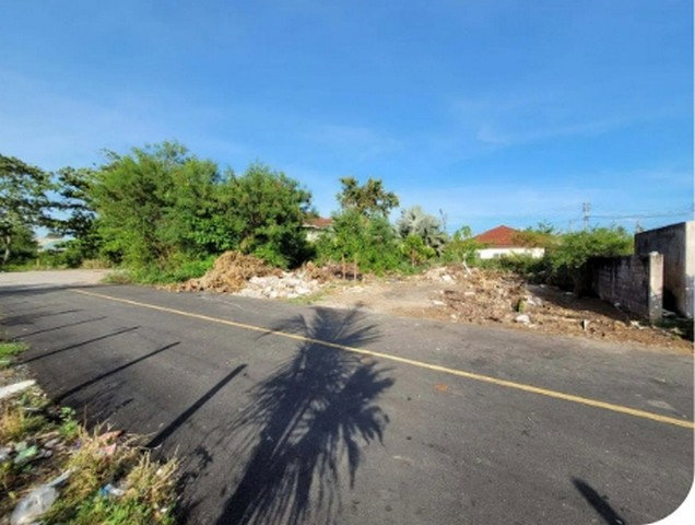 รูป BP00225 ขายที่ดินเปล่า ตำบล มะขามเตี้ย อำเภอ เมืองสุราษฎร์ธานี จังหวัด สุราษฎร์ธานี - รูปที่ 8/8